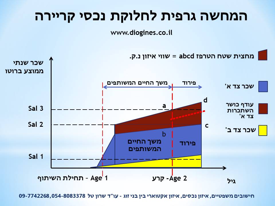 איזון נכסי קריירה עורך דין שרון טל